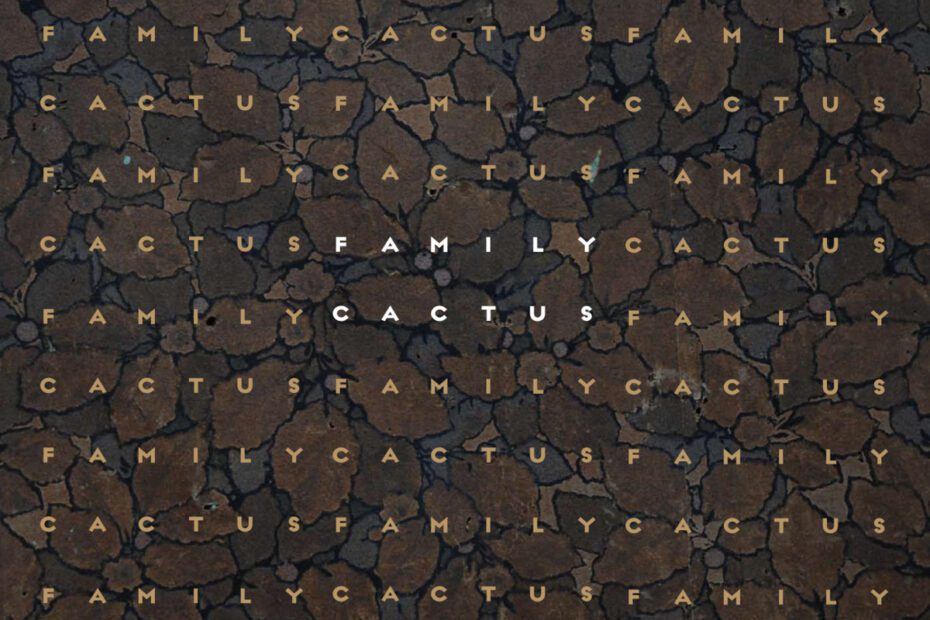 Family Cactus - Come Howling album cover