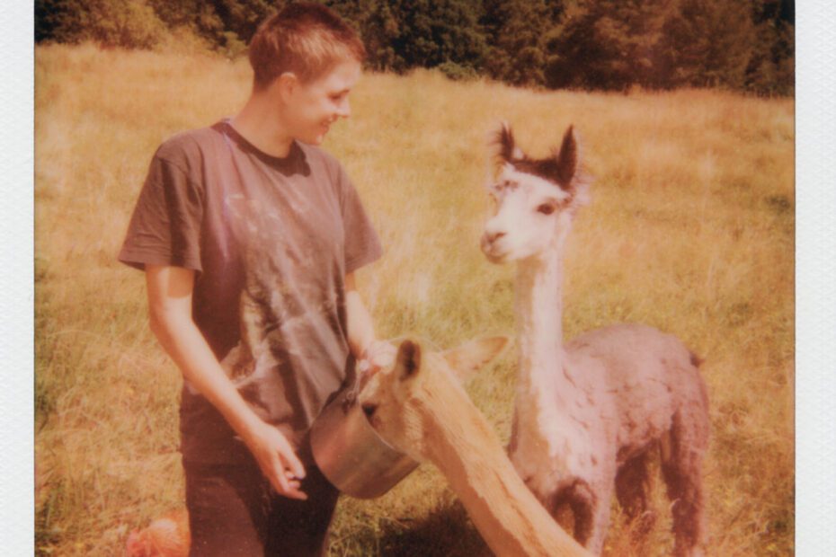 Princess Chelsea - Everything Is Going To Be Alright album cover